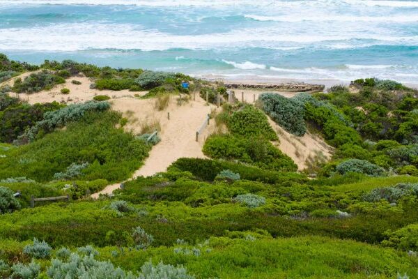 St Andrews Beach VIC