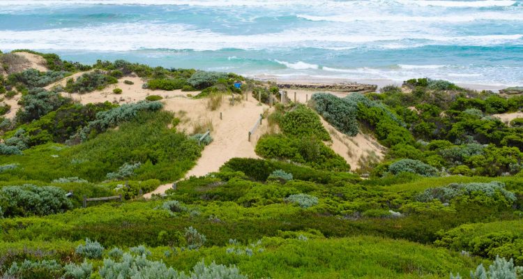 St Andrews Beach VIC