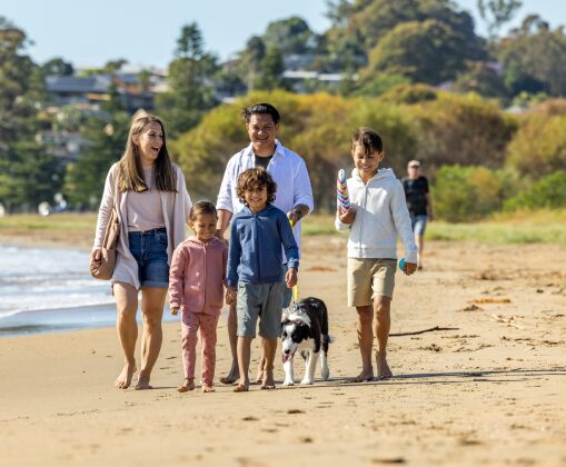 725x420_pet-friendly-activities-Victoria_Beach-1 crop